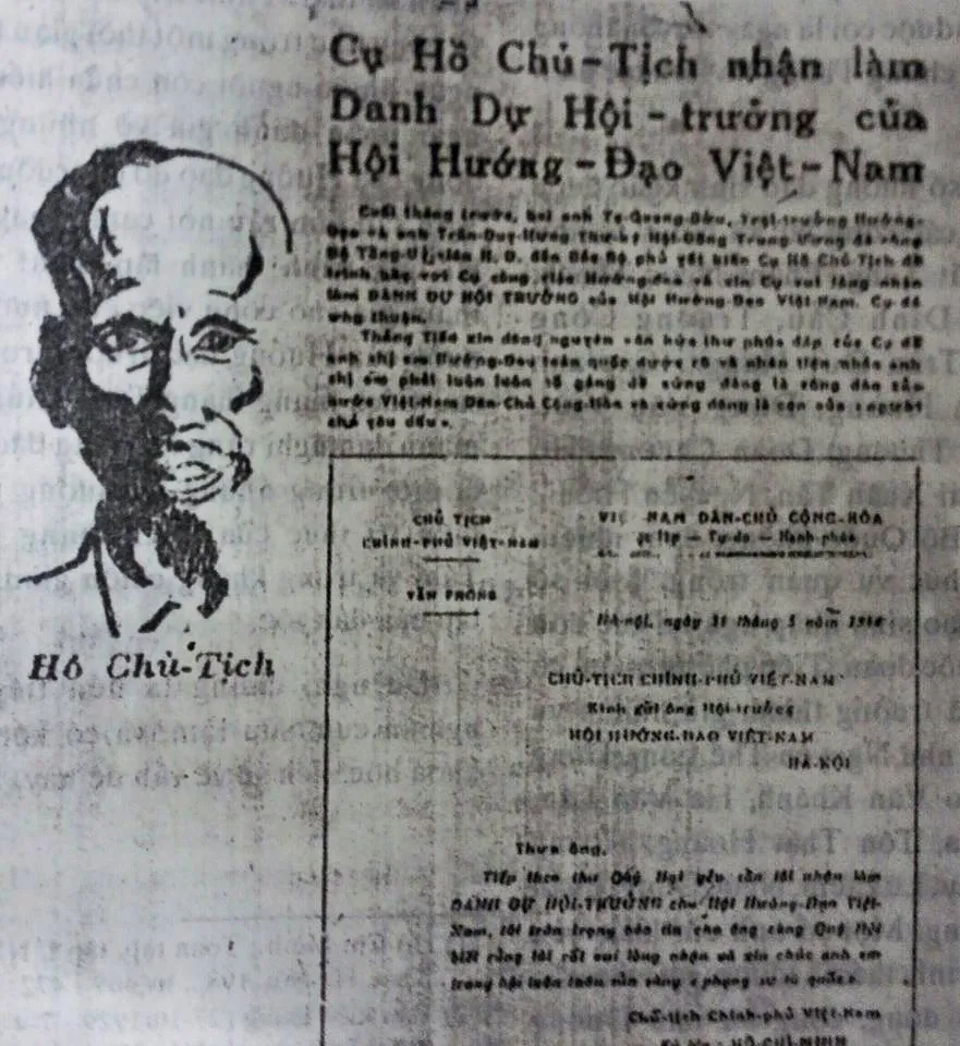 Read more about the article Hướng đạo sinh Việt Nam – Họ là ai?